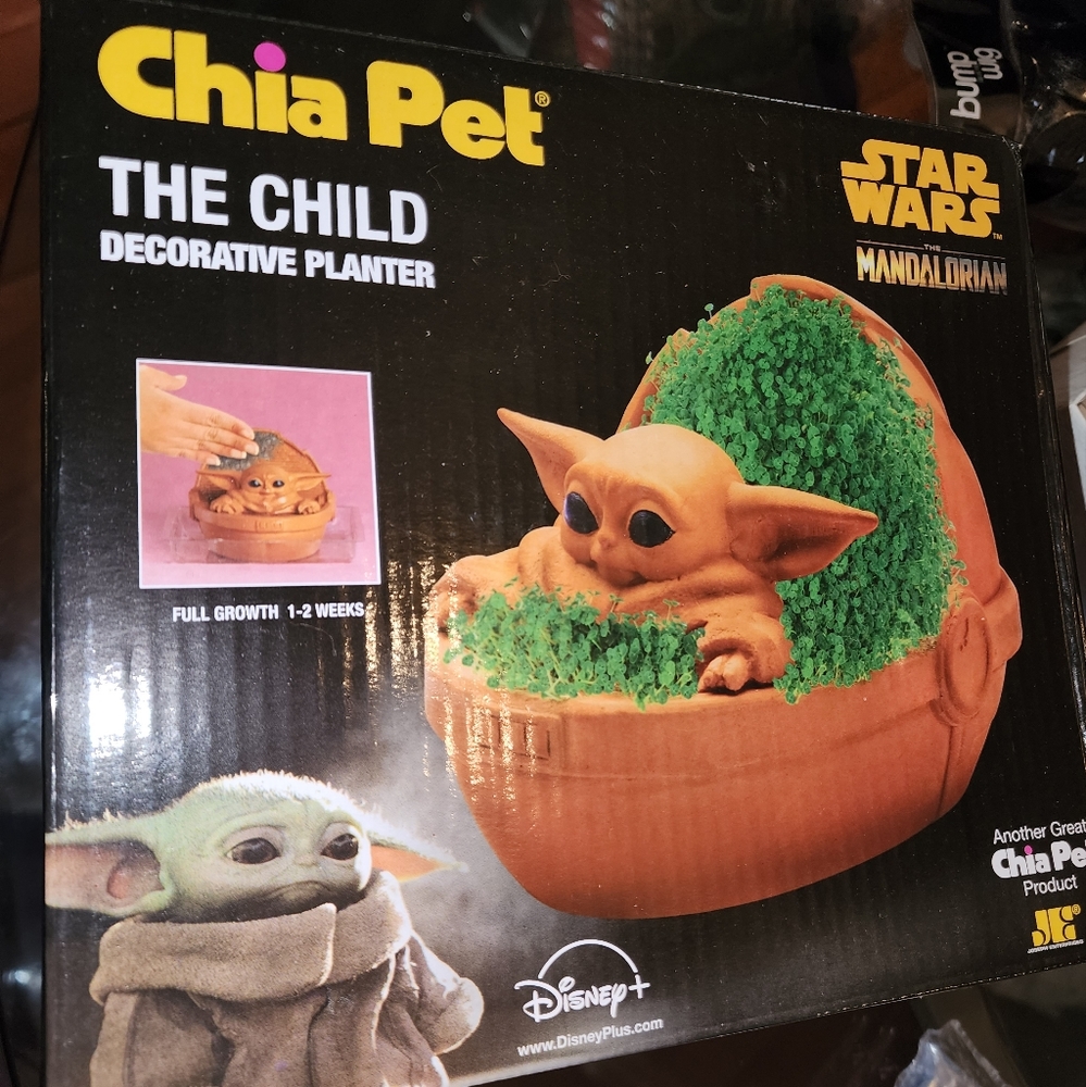 Chia Pet The Child